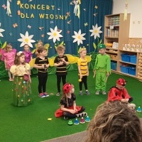 Koncert wiosenny. Dzieci w strojach: pani wiosny, trzmieli, pszczoły, konik polnych i biedronek występują dla rodziców. Ustawione są na trwaiastym dywanie, w tle kotara z kwiatami, motylami i napisem Koncert dla wiosny.